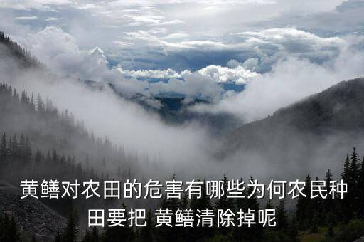 海參為什么不怕農(nóng)藥,為什么黃鱔不怕農(nóng)藥