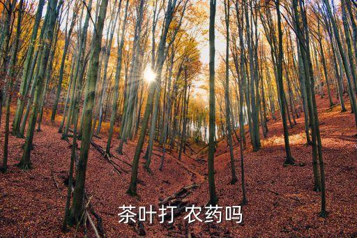 ,茶葉這段時間施什么農藥