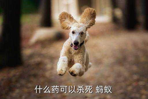 地下害蟲螞蟻的最好農藥,滅火螞蟻用什么農藥最好