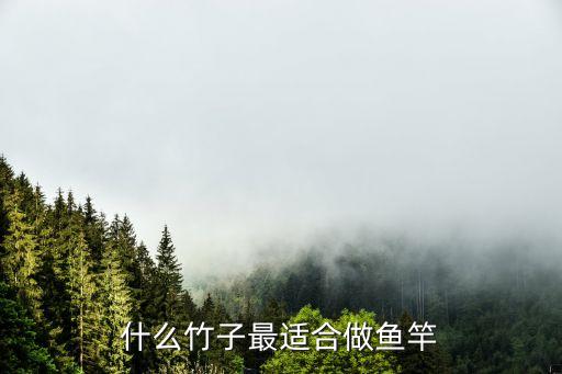 什么竹子最適合做魚竿