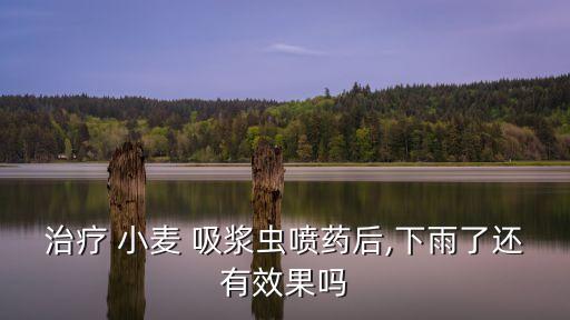 小麥吸漿蟲幼蟲用什么農藥