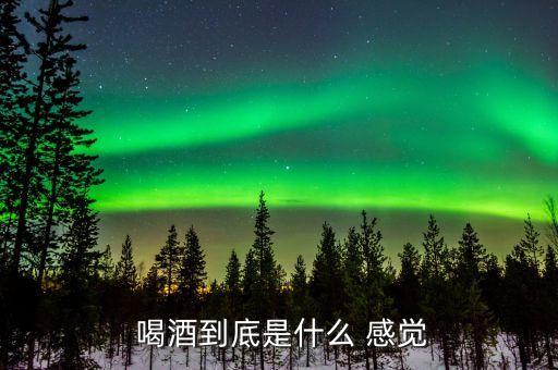  喝酒到底是什么 感覺