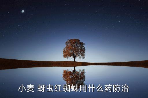 小麥 蚜蟲紅蜘蛛用什么藥防治
