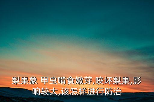 梨果象 甲蟲啃食嫩芽,咬壞梨果,影響較大,該怎樣進行防治