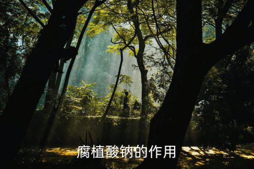腐植酸鈉的作用