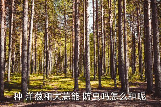 ,洋蔥儲存用什么農藥防蟲