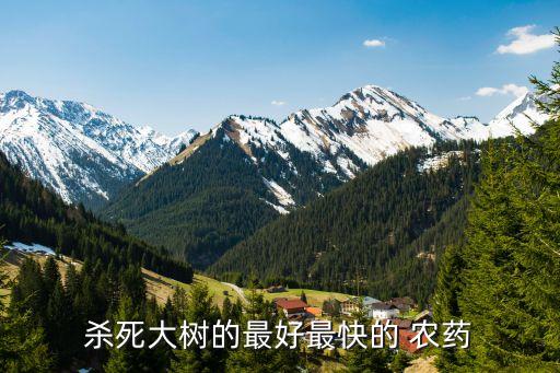 ,樹木殺蟲用什么農藥生根