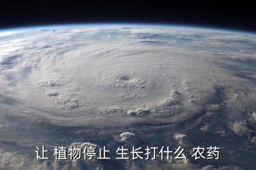 ,什么農藥能讓植物不再生長