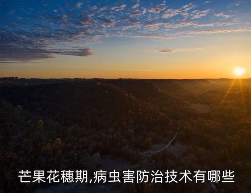  芒果花穗期,病蟲害防治技術有哪些
