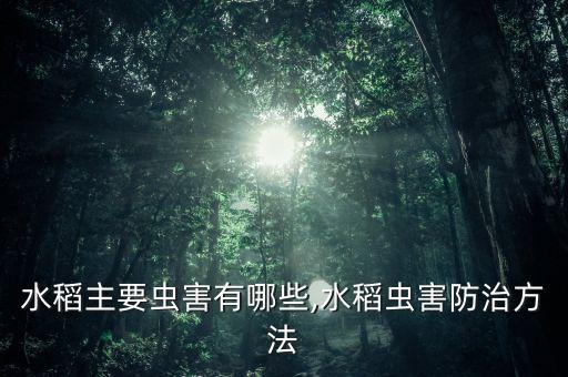 稻田用什么農(nóng)藥治害蟲,蝦稻田打什么農(nóng)藥