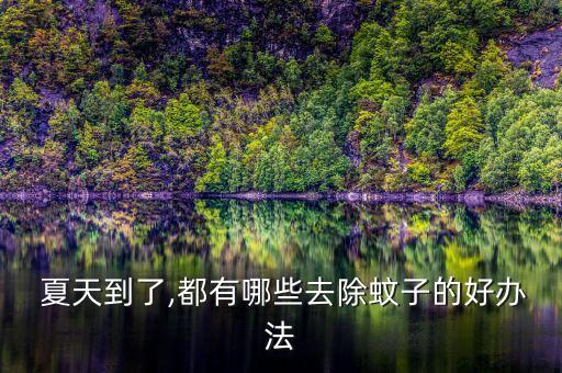  夏天到了,都有哪些去除蚊子的好辦法