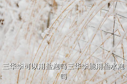 三華李可以用鹽泡嗎三華李能用鹽水泡嗎