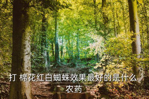打 棉花紅白蜘蛛效果最好的是什么 農(nóng)藥