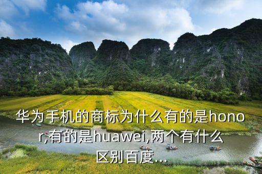 王者榮耀為什么是農藥,榮耀為什么叫農藥王子