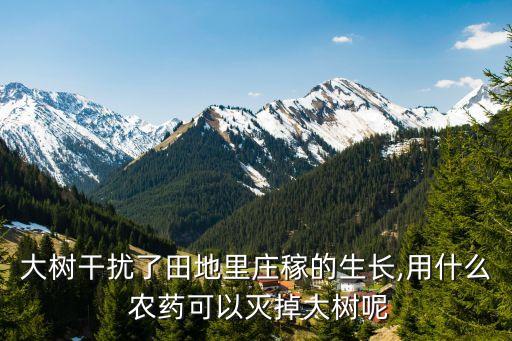 大樹干擾了田地里莊稼的生長,用什么 農藥可以滅掉大樹呢