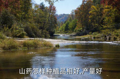 ,山藥這時節打什么農藥