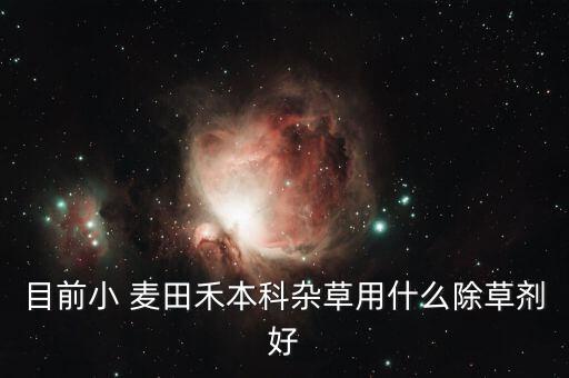 目前小 麥田禾本科雜草用什么除草劑好