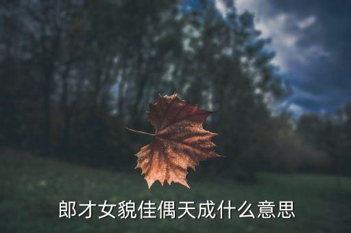 農藥郎才女貌是什么,郎才女貌天作之合下一句是什么