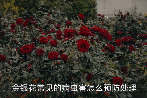 ,金銀花生蟲打什么農藥