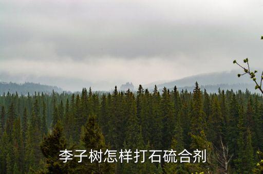  李子樹怎樣打石硫合劑