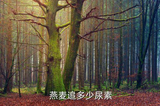  燕麥追多少尿素