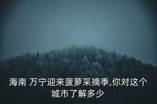 海南 萬(wàn)寧迎來(lái)菠蘿采摘季,你對(duì)這個(gè)城市了解多少