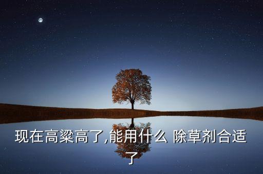 現在高粱高了,能用什么 除草劑合適了