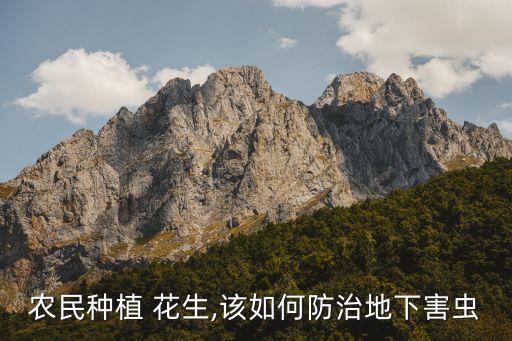 ,花生種子什么時候打農藥
