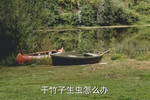 ,毛竹用什么農(nóng)藥打蟲子最好