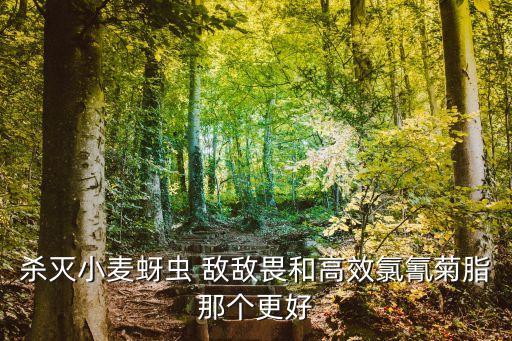 殺滅小麥蚜蟲 敵敵畏和高效氯氰菊脂那個更好