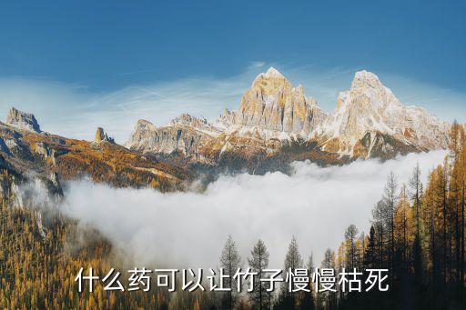 什么藥可以讓竹子慢慢枯死