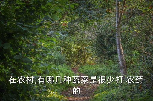 在農村,有哪幾種蔬菜是很少打 農藥的