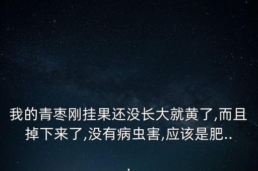 我的青棗剛掛果還沒長大就黃了,而且掉下來了,沒有病蟲害,應該是肥...