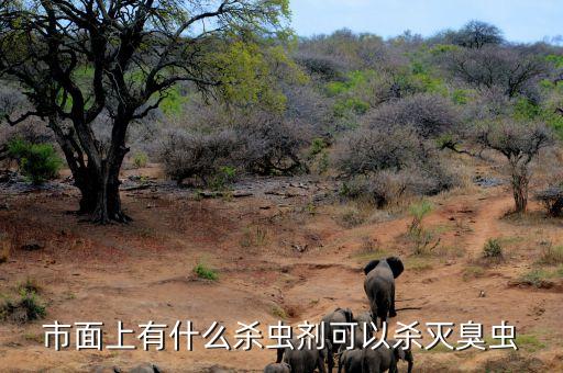 市面上有什么殺蟲劑可以殺滅臭蟲