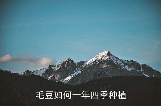  毛豆如何一年四季種植
