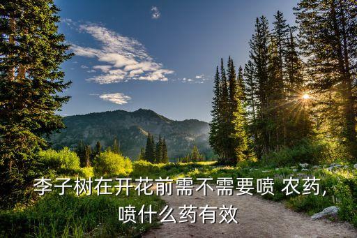 李子樹用什么農藥,開春李子樹打什么農藥最好