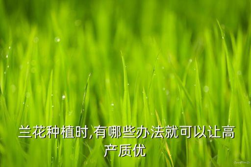  蘭花種植時,有哪些辦法就可以讓高產質優