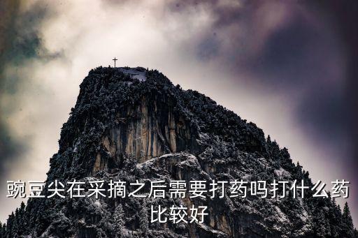 種豆子的農(nóng)藥是什么