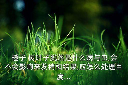 橙子的樹葉長什么樣子,橙子樹葉爛了用什么農(nóng)藥