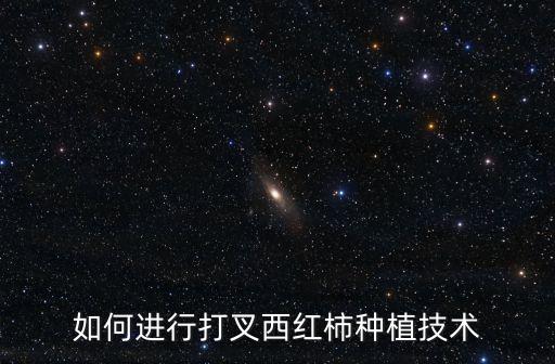 ,番茄打岔后打什么農藥