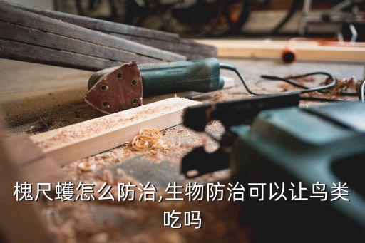 槐尺蠖怎么防治,生物防治可以讓鳥類吃嗎