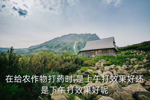 在給農作物打藥時,是上午打效果好還是下午打效果好呢