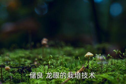 龍眼要打什么農(nóng)藥,龍眼蝽蟓用什么農(nóng)藥