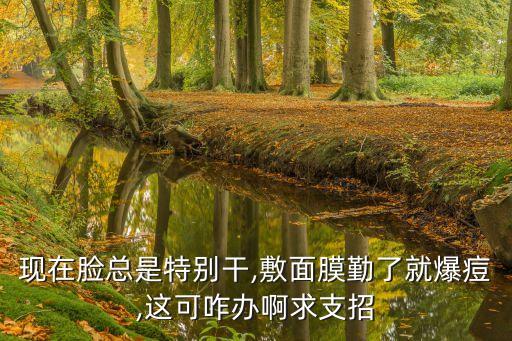 現在臉總是特別干,敷面膜勤了就爆痘,這可咋辦啊求支招