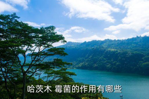 土壤霉菌用什么農藥,什么農藥去植物霉菌