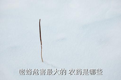 密蜂危害最大的 農藥是哪些