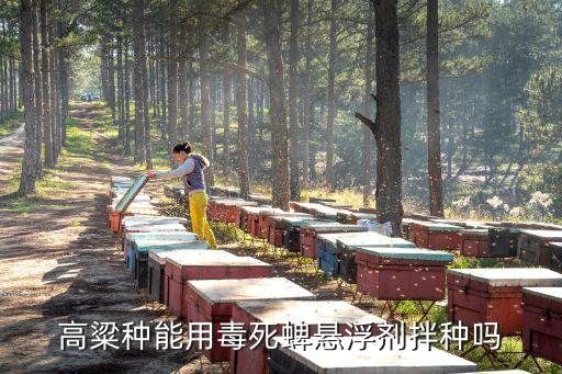 高粱種能用毒死蜱懸浮劑拌種嗎