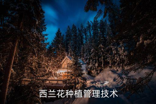  西蘭花種植管理技術