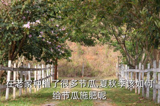 種節(jié)瓜是什么農(nóng)藥,廣東人說的節(jié)瓜是什么