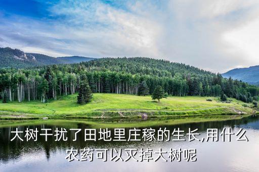 大樹干擾了田地里莊稼的生長(zhǎng),用什么 農(nóng)藥可以滅掉大樹呢